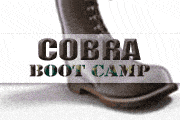 COBRA Boot Camp Basics