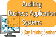 auditing-business-application-systems