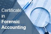 forensic training for accountants