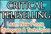 Critical TeleSelling Sales Training Seminar