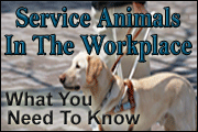 Service Animals In The Workplace: What You Need To Know